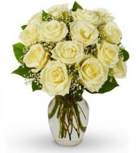 12 White Roses Vase