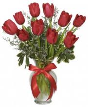10 Red Tulips Vase