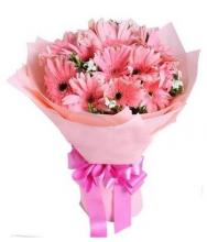 12 Pink Gerberas Bouquet