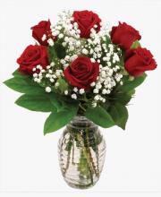 6 Red Roses Vase