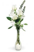 3 white roses in a glass vase