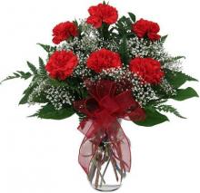 6 Red Carnations Vase