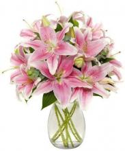 12 Stem Pink Lilies Vase