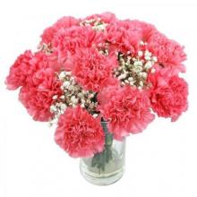 12 Pink Carnation Vase