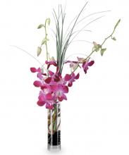 Blooming Orchid Vase