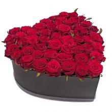 Heart Shaped Arrangement Of 60 Red Roses