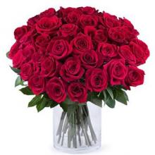 50 red roses in glass vase