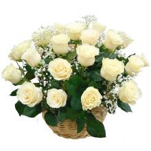 18 white roses in  a basket