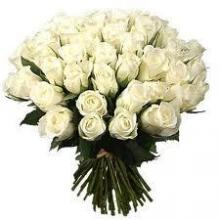 36 white roses bouquet