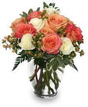 6 peach roses vase