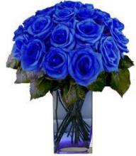 18 blue roses vase