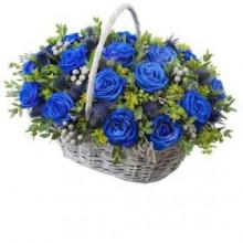 18 blue roses basket