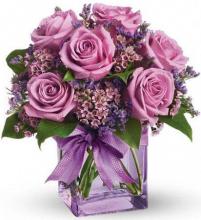 6 purple roses bouquet