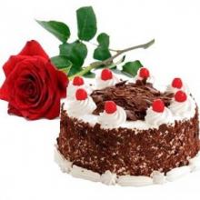 1 kg Cake with FREE Rose